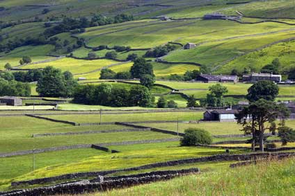 Yorkshire dales countryside Langstrothdale