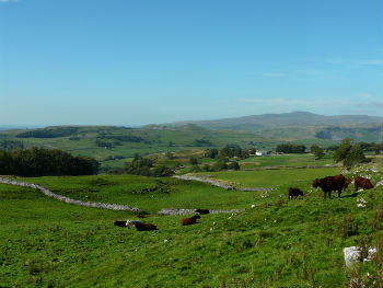 Stunning Dales countryside in Yorkshire Dales National Park