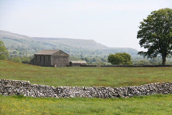 wensleydale countryside