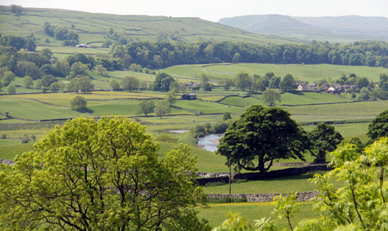 Wensleydale